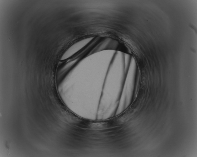 X0000093120461200710171249