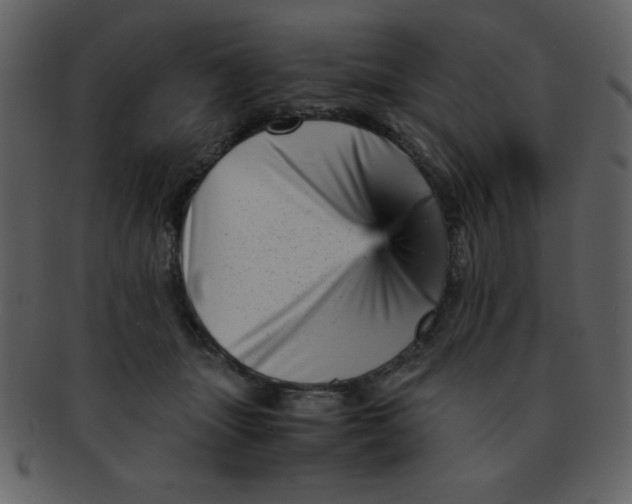 X0000093120463200710171249