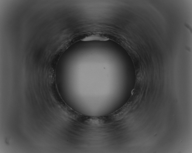 X0000093120464200710171249