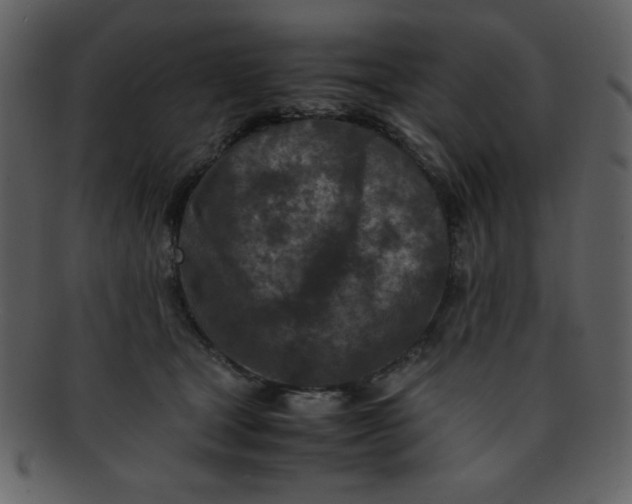 X0000093120465200710171249