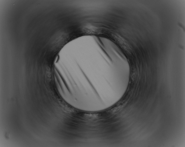 X0000093120469200710171249