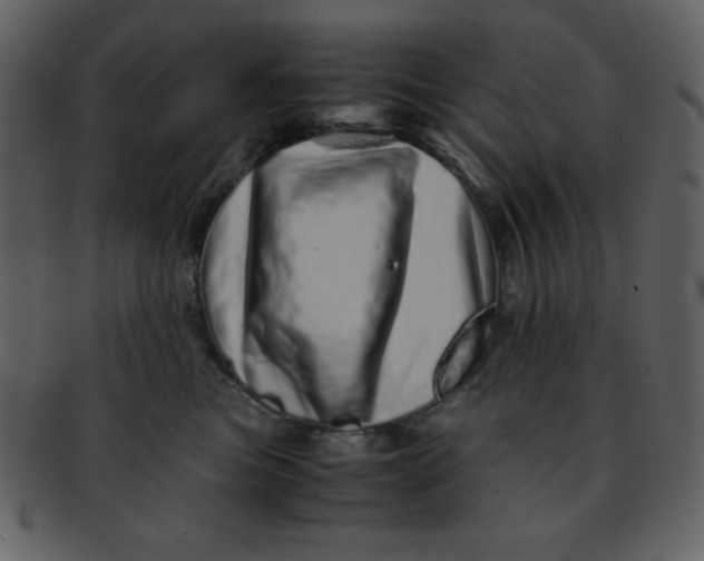 X0000093120473200710171249