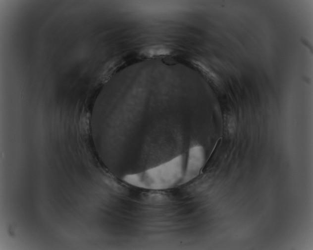 X0000093120475200710171249