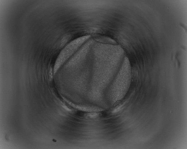 X0000093120479200710171249