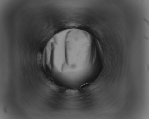 X0000093120480200710171249