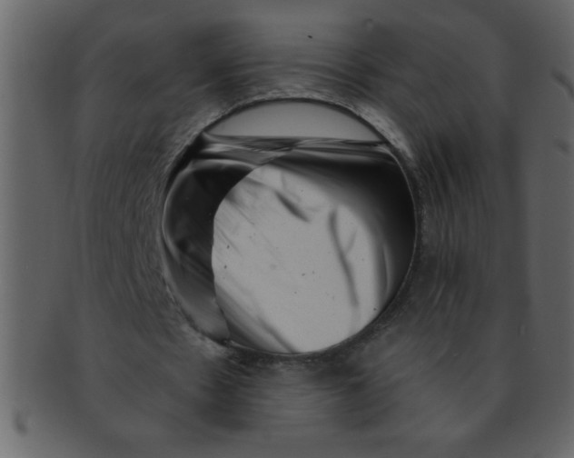 X0000093120481200710171249