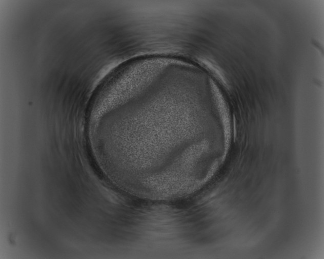 X0000093120483200710171249