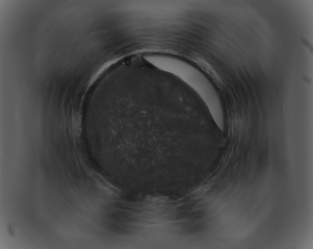 X0000093120484200710171249