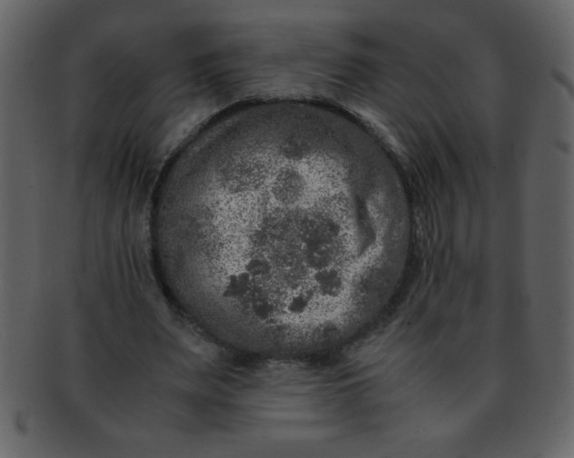 X0000093120487200710171249