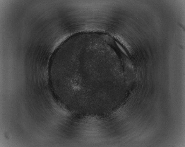 X0000093120488200710171249