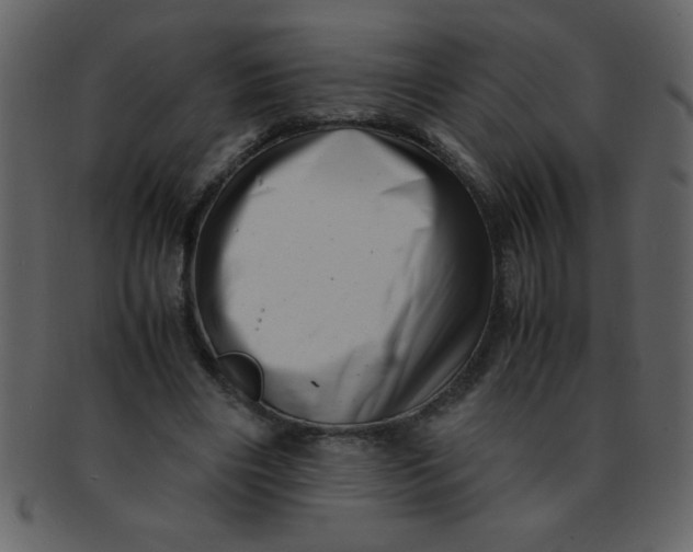 X0000093120490200710171249