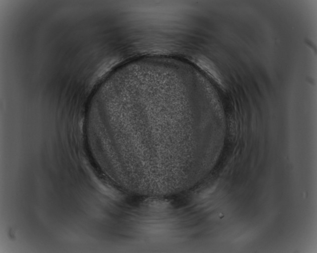 X0000093120491200710171249