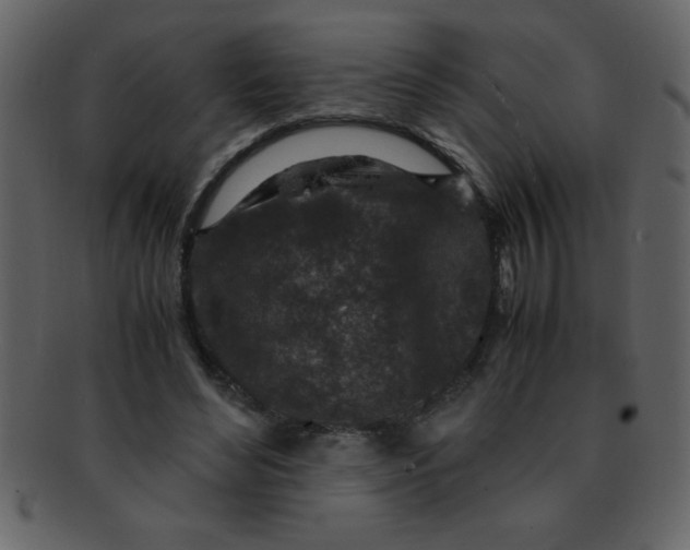 X0000093120492200710171249