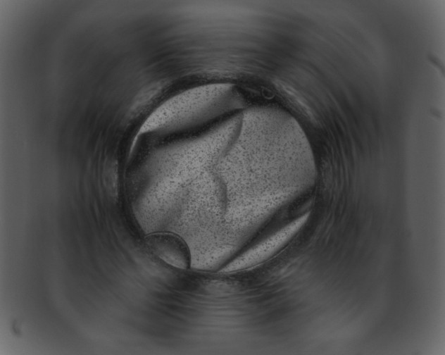 X0000093120494200710171249