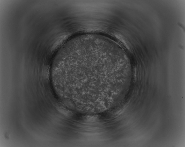 X0000093120495200710171249