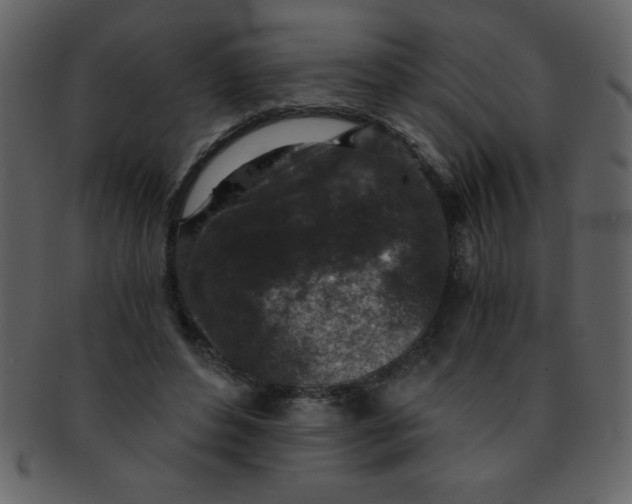 X0000093120496200710171249