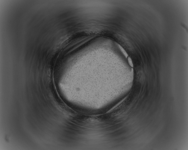 X0000093120498200710171248