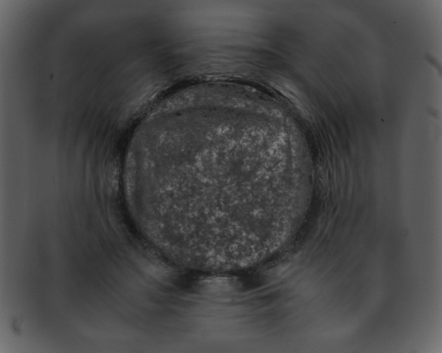 X0000093120499200710171248