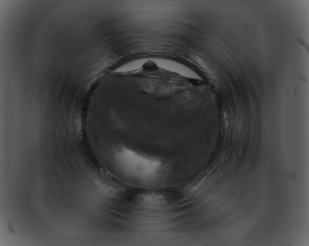 X0000093120500200710171248