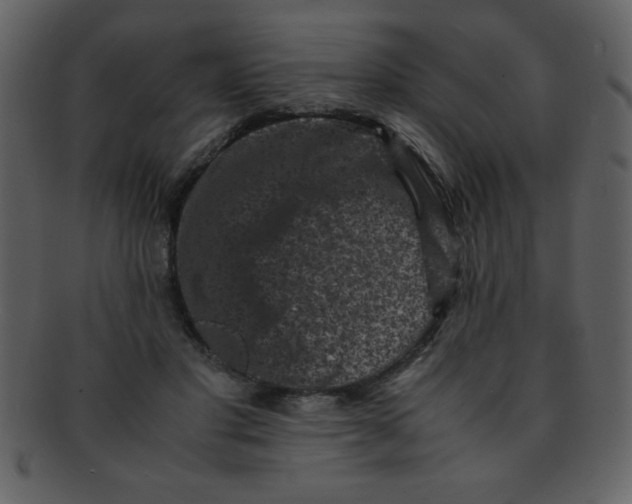 X0000093120501200710171248