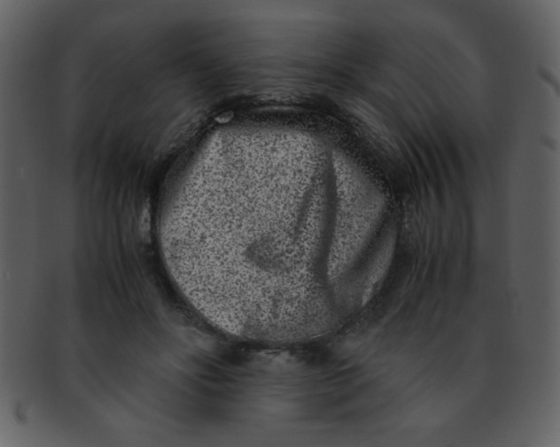 X0000093120502200710171248