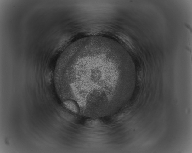 X0000093120503200710171248