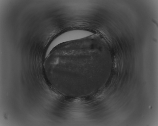 X0000093120504200710171248