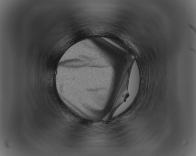 X0000093120505200710171248