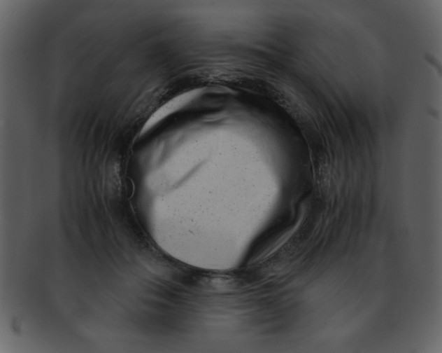 X0000093120506200710171248