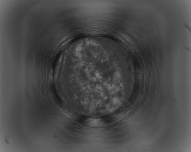 X0000093120507200710171248