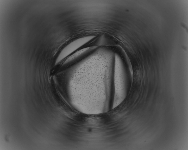 X0000093120508200710171248