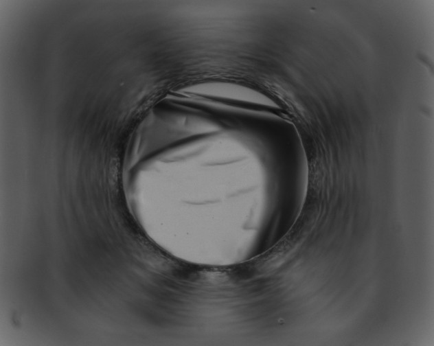 X0000093120509200710171248