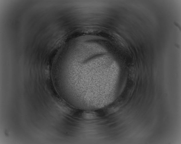 X0000093120510200710171248