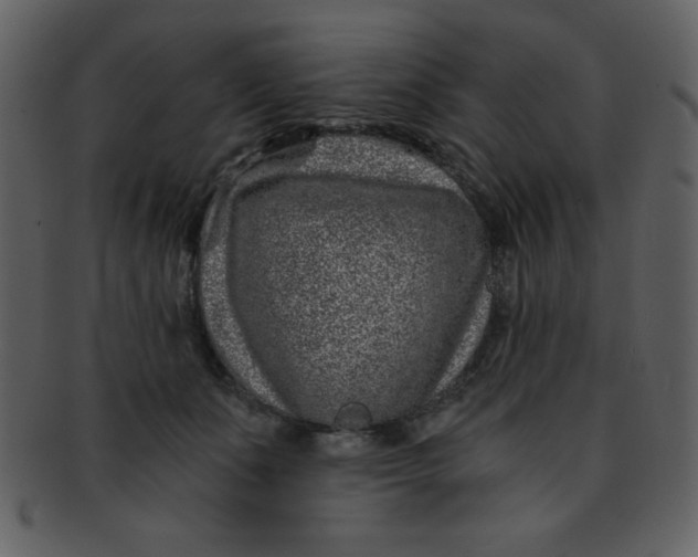 X0000093120511200710171248