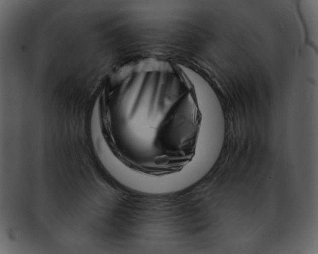 X0000093120512200710171248