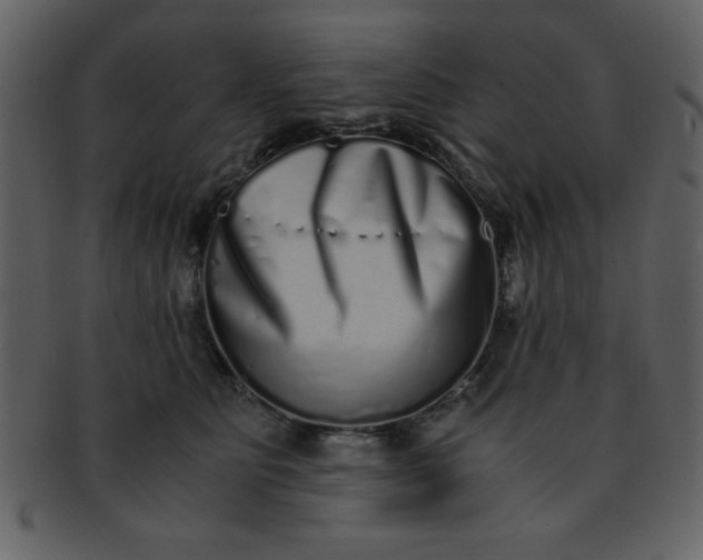 X0000093120515200710171248