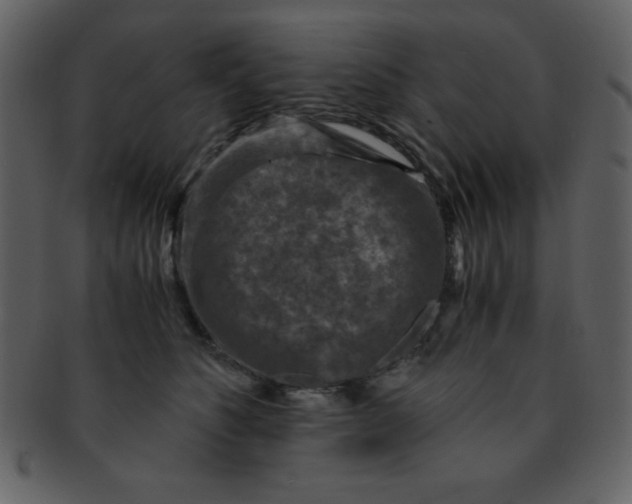 X0000093120516200710171248