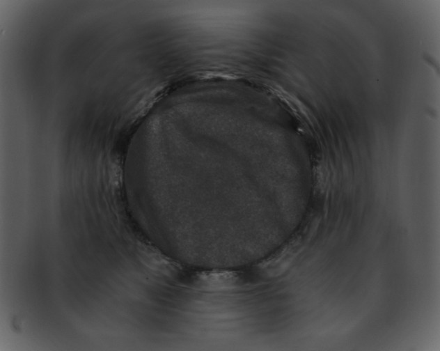 X0000093120517200710171248