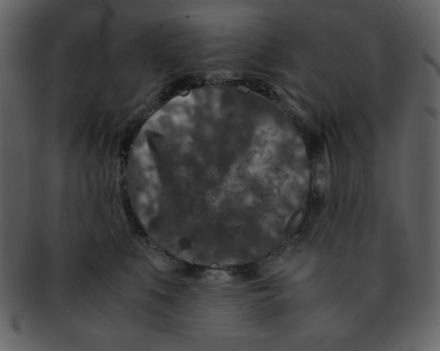 X0000093120519200710171248