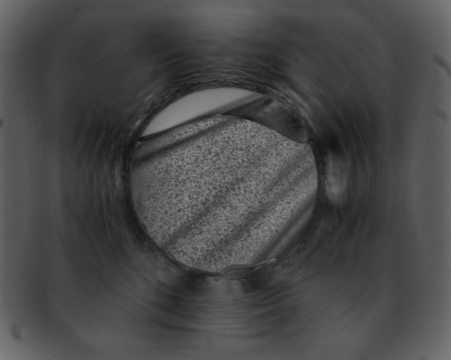 X0000093120520200710171248