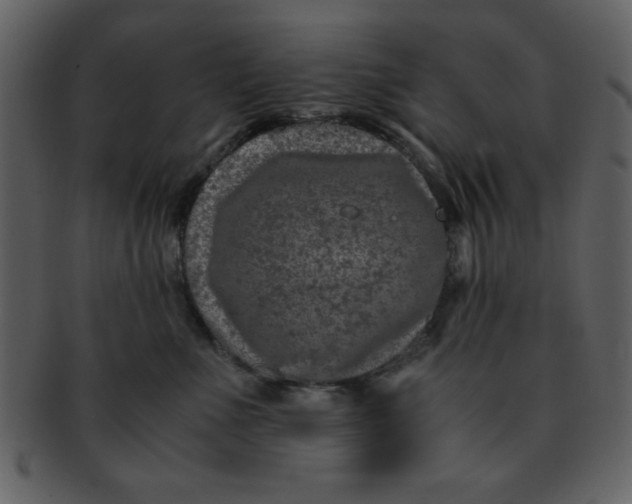 X0000093120523200710171248