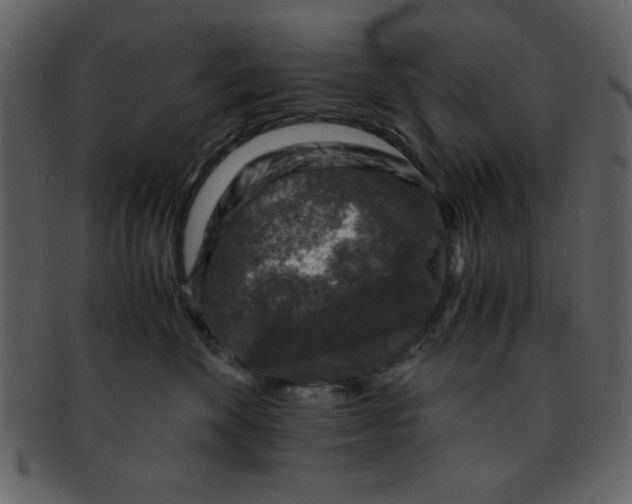 X0000093120524200710171248