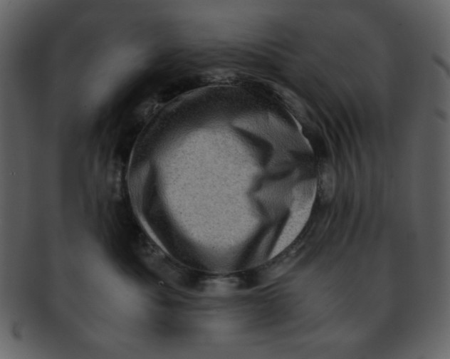 X0000093120525200710171248