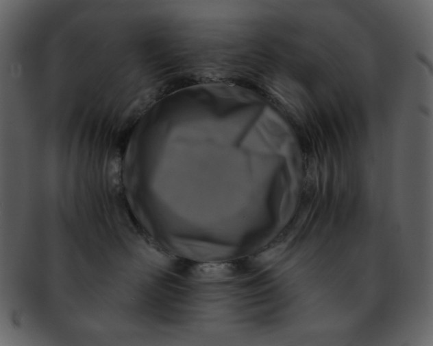 X0000093120526200710171248