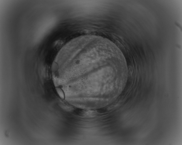 X0000093120527200710171248