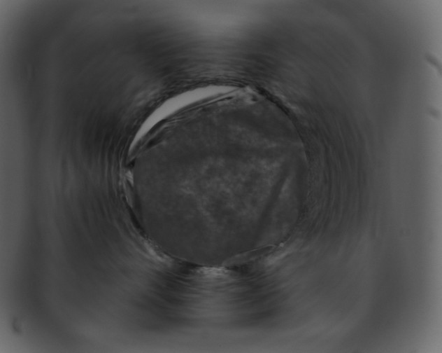 X0000093120528200710171248