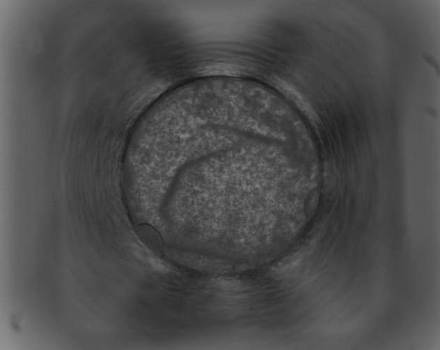 X0000093120529200710171247