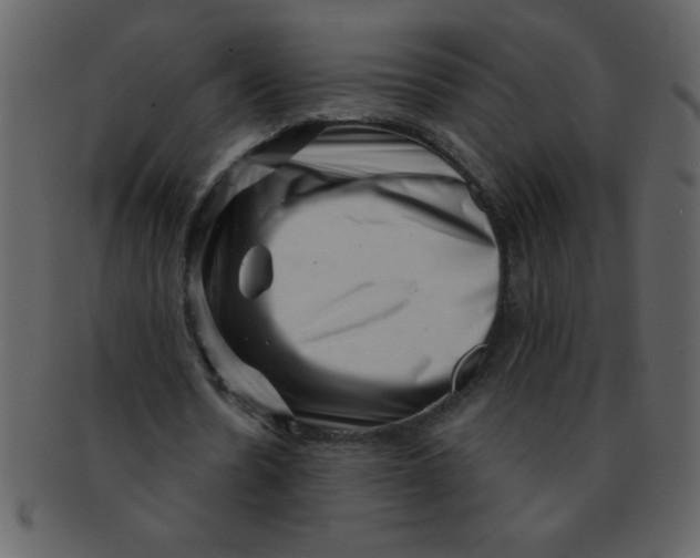 X0000093120530200710171247