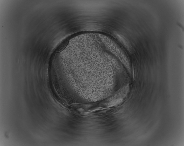 X0000093120531200710171247