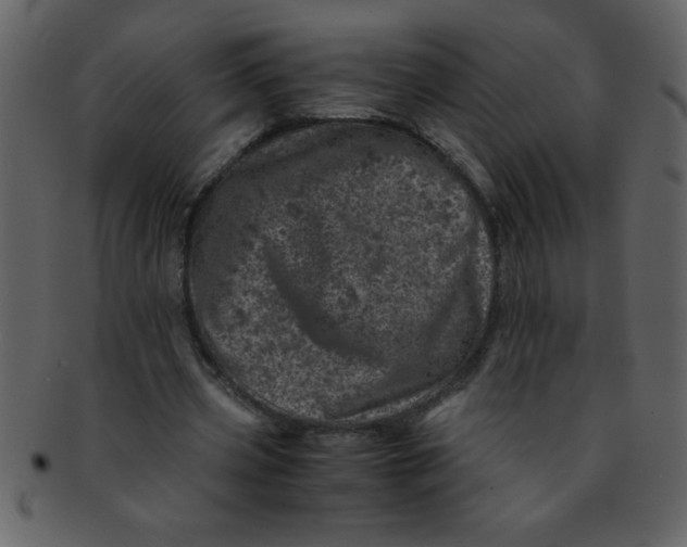 X0000093120533200710171247